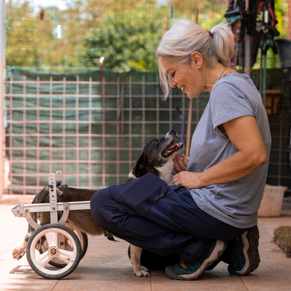 Il Cane Disabile: l'idea e il progetto