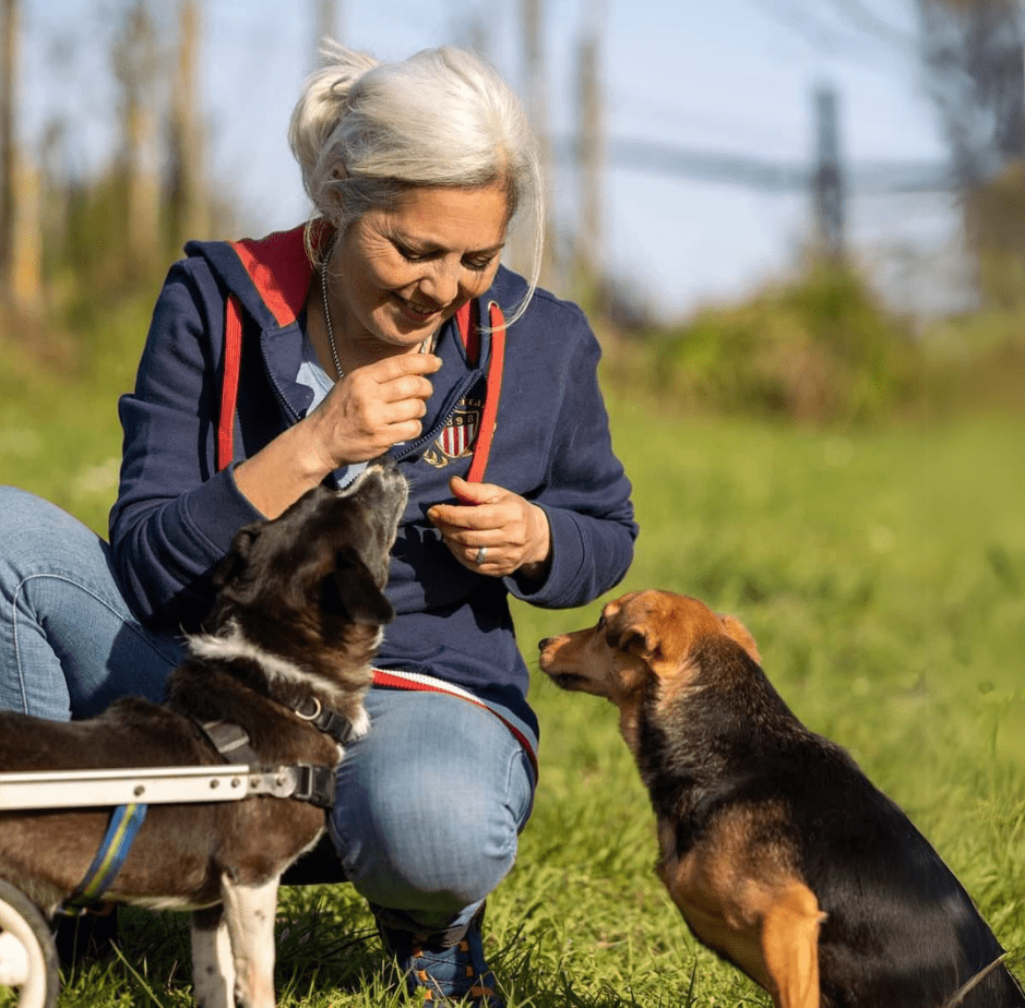 Seminario Nella mente del cane paralizzato