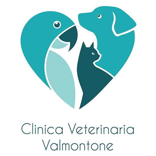 Clinica Veterinaria Valmontone