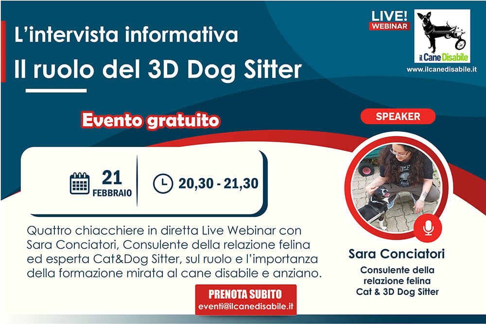 Intervista informativa: il ruolo del 3D Dog sitter